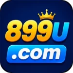 899U Game